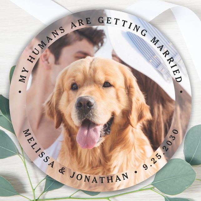 Engagement Photo My Humans Are Getting Married Dog Classic Round Sticker (Creator Uploaded)