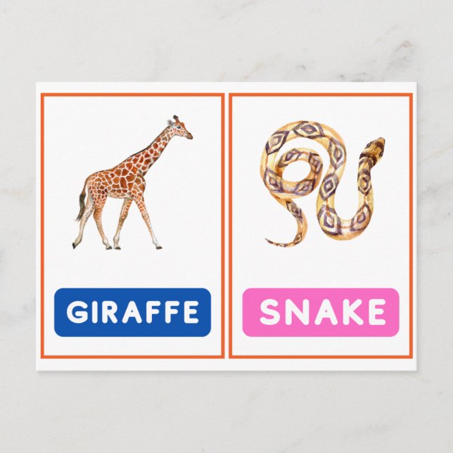 Engaging Wild Animal Flashcards ,Panda,Koala,Snake Postcard (Front)