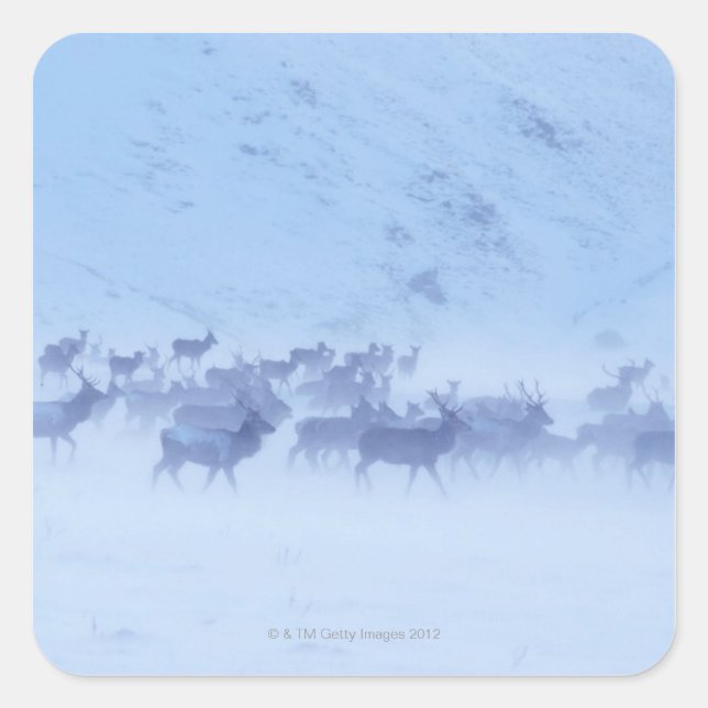 England Square Sticker (Front)