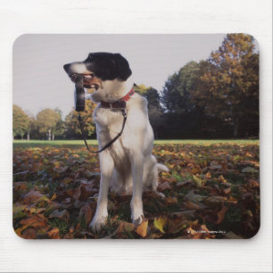 England, St.Albans Mouse Pad