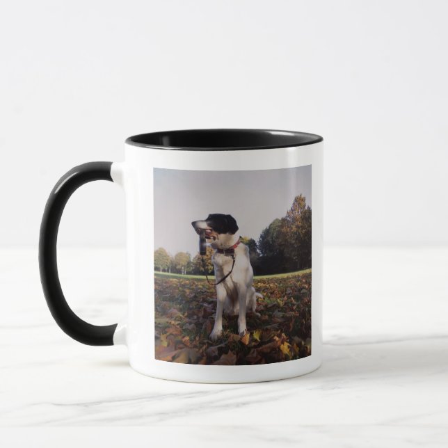 England, St.Albans Mug (Left)