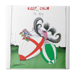 england v ireland rugby balls - from tony fernande tile