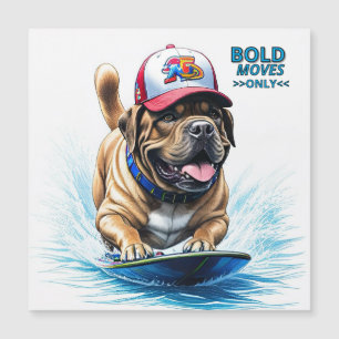 Englische Dogge Mastiff auf Surfbrett