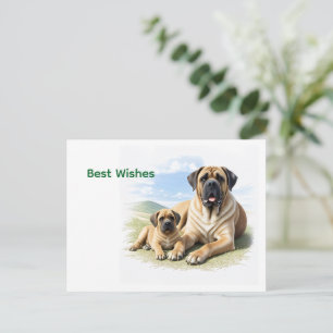 Englische Dogge Mastiff mit Kind Postcard