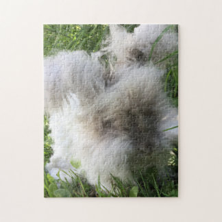 English Angora Rabbit "Bradley" Jigsaw Puzzle