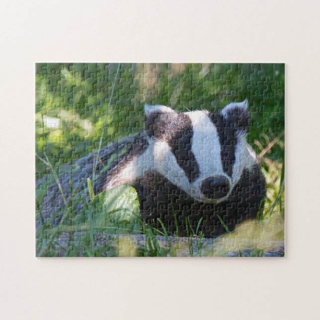 English Badger Puzzle (Horizontal)