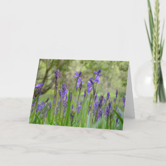 English Bluebell Field Note Card