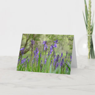 English Bluebells Note Card