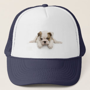 English Bull Dog Hat