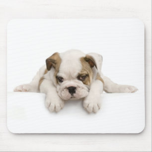 English Bull Dog Mousepad