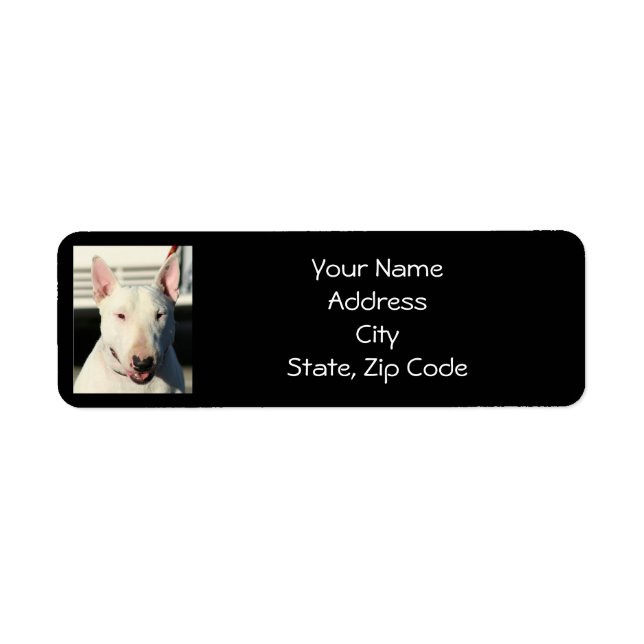 English Bull Terrier Address Labels (Front)