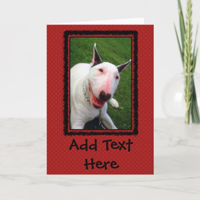 English Bull Terrier Card (Front)