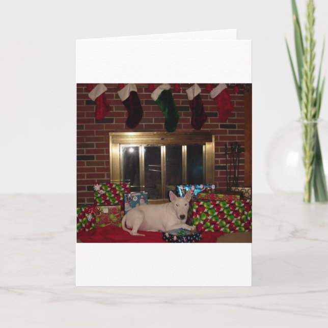 english bull terrier christmas present fireplace holiday card (Front)