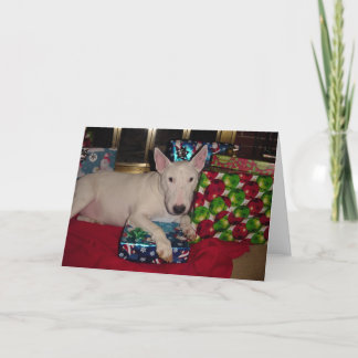 english bull terrier christmas present fireplace holiday card