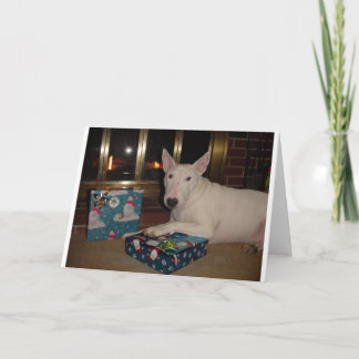 english bull terrier christmas present holiday card