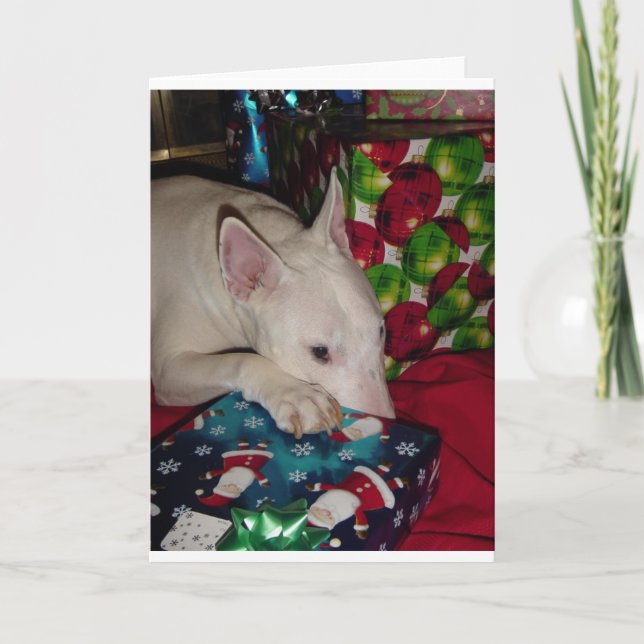 english bull terrier christmas present holiday card (Front)