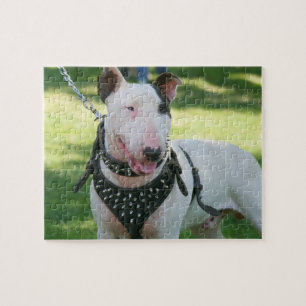 English bull terrier jigsaw puzzle