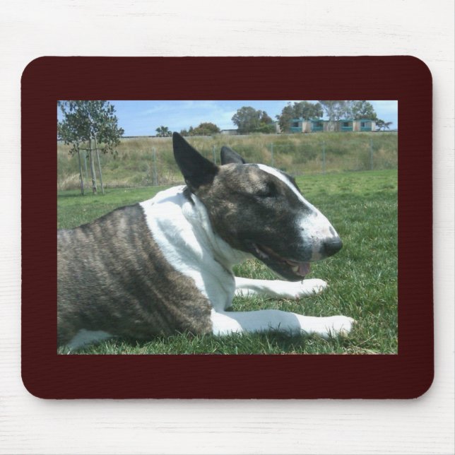 English bull terrier mouse pad (Front)