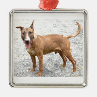 English Bull Terrier Ornament