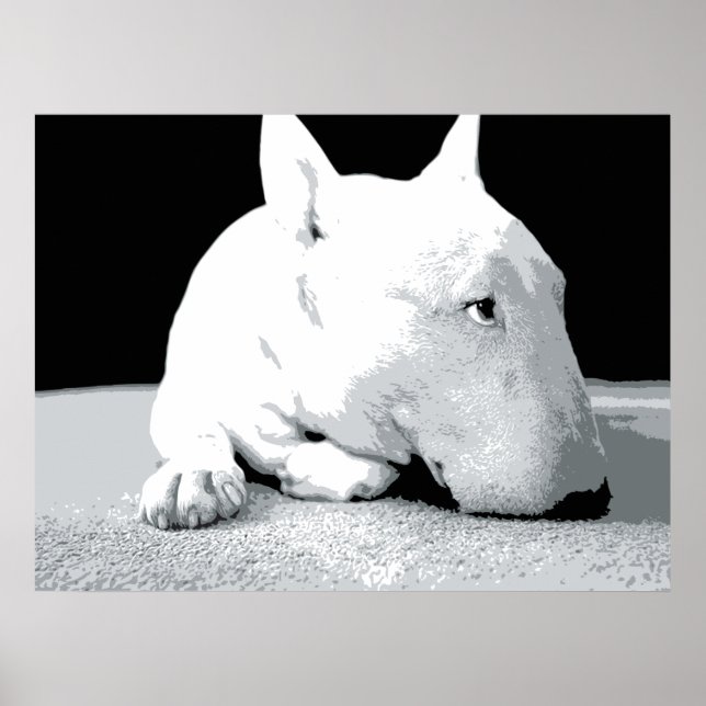 English Bull Terrier, Pop Art Print (Front)