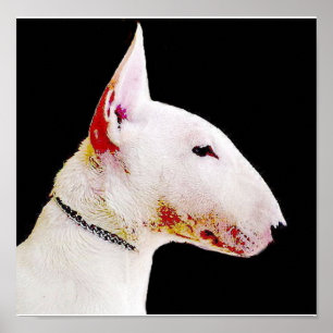 English bull terrier poster