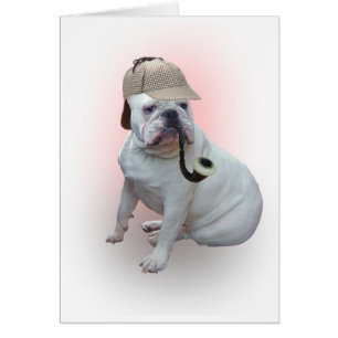 English bulldog