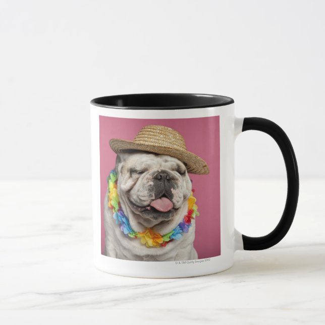 English Bulldog (18 months old) wearing a straw Mug (Right)