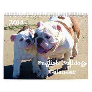 English Bulldog 2014 Custom Printed Calendar