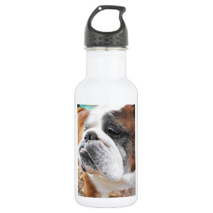 English Bulldog 532 Ml Water Bottle