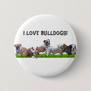 English Bulldog 6 Cm Round Badge