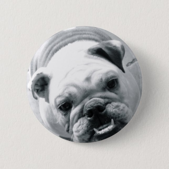 English Bulldog 6 Cm Round Badge (Front)