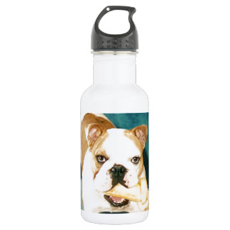 English Bulldog "Adagio" 532 Ml Water Bottle