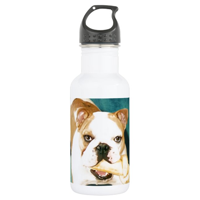 English Bulldog "Adagio" 532 Ml Water Bottle (Front)