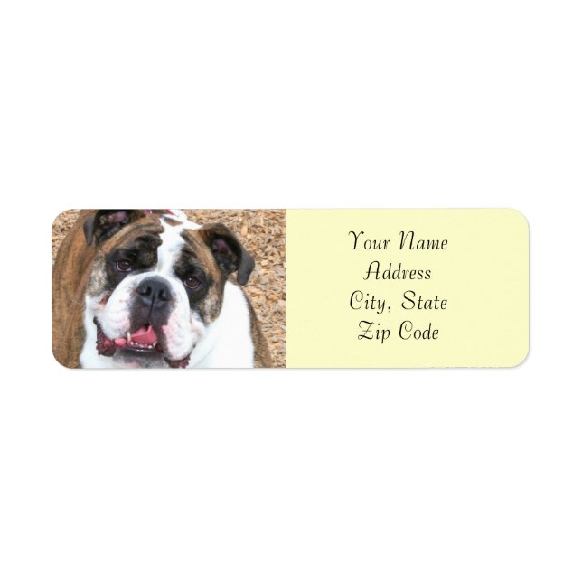 English bulldog address labels (Front)
