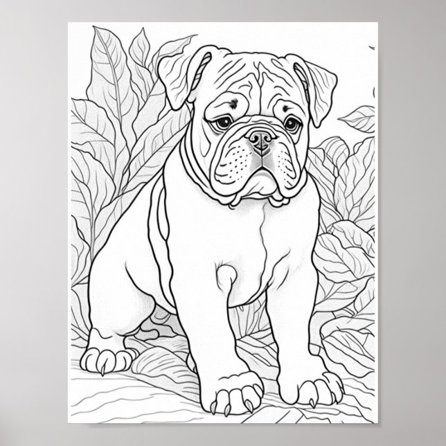 English Bulldog Adult Colouring Poster (Front)
