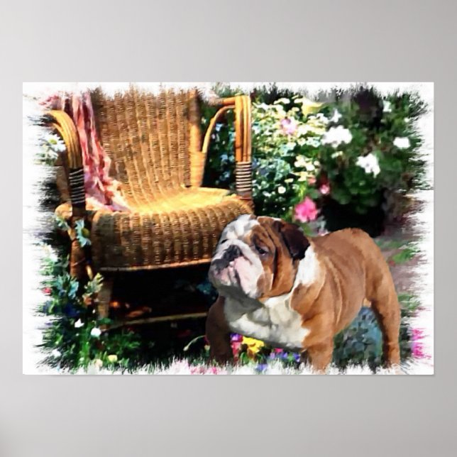 English Bulldog Art Prints (Front)