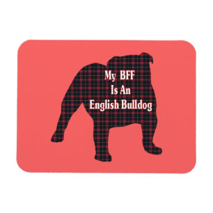 English Bulldog BFF Magnet
