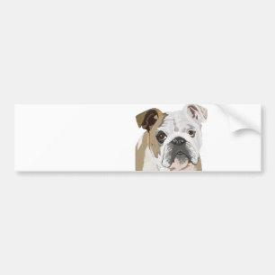English Bulldog Bumper Sticker