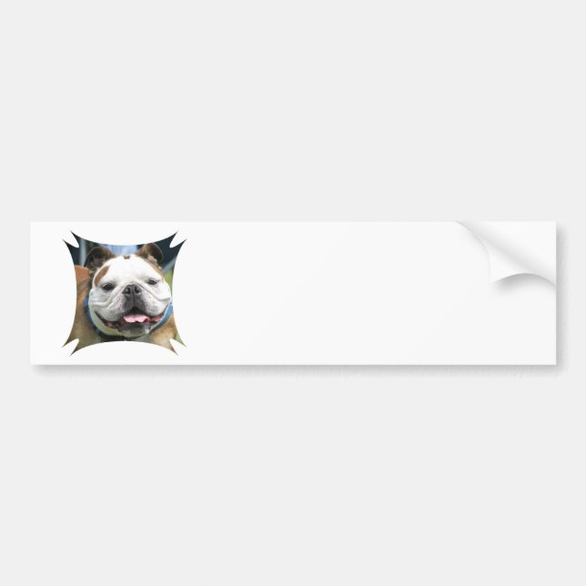 English Bulldog Bumper Sticker (Front)