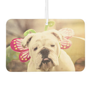 English Bulldog Butterfly Photo Car Air Freshener