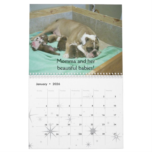 English Bulldog Calendar 2010 (Jan 2026)