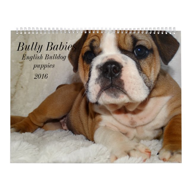 English Bulldog Calendar 2016 (Cover)