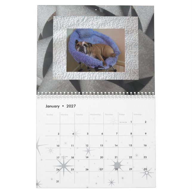 English bulldog calendar! calendar (Jan 2027)