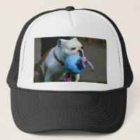 English Bulldog cap