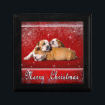 English Bulldog Christmas card Gift Box<br><div class="desc">English Bulldog puppies Christmas card</div>