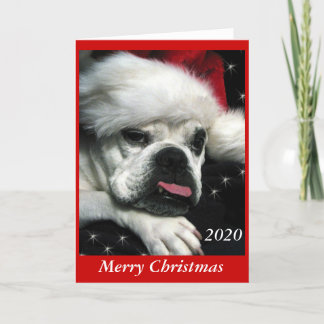 English Bulldog Christmas card. Holiday Card