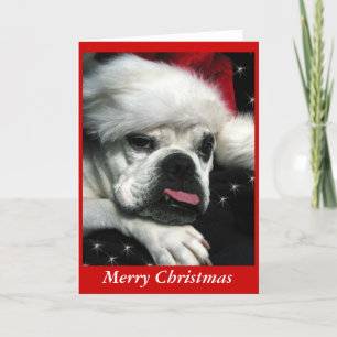 English Bulldog Christmas card. Holiday Card