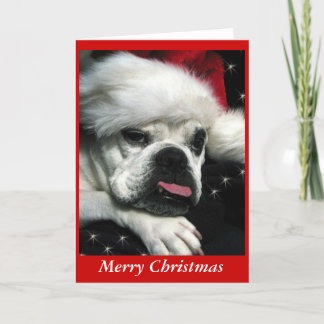 English Bulldog Christmas card. Holiday Card