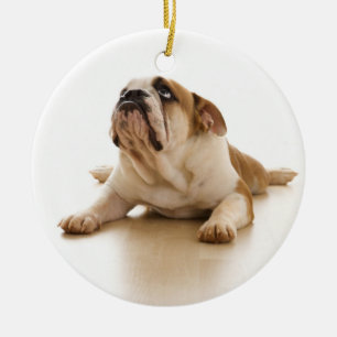 English Bulldog Christmas Ornament