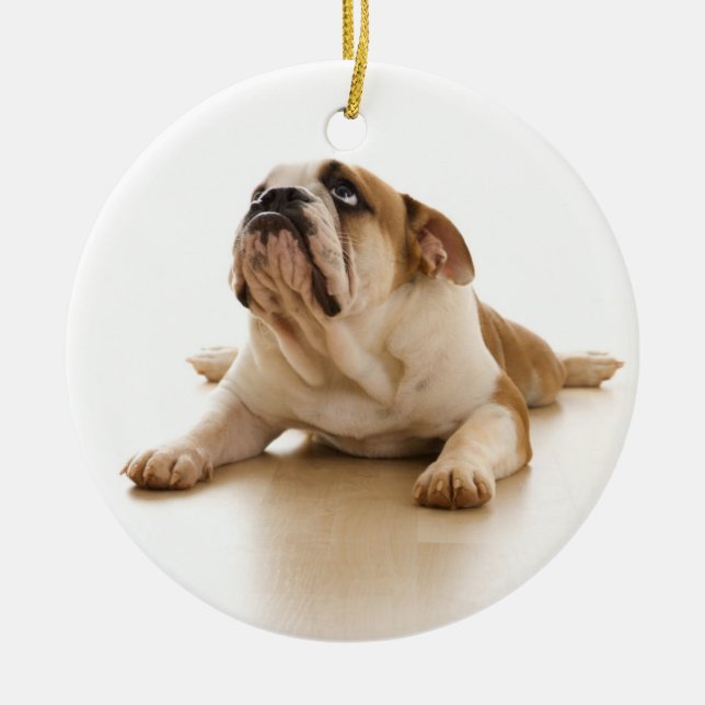 English Bulldog Christmas Ornament (Front)